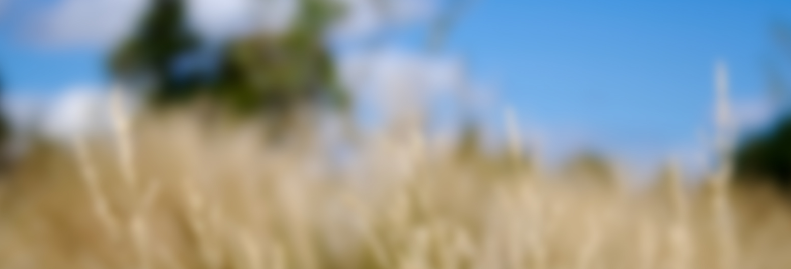 March 2015 – THE PEACE FROM THE SHEPHERD
